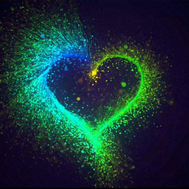 Beautiful Celebration Stock Video 337493