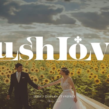 Fonts Display  338725