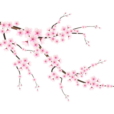 Sakura Falling Illustrations Templates 339633