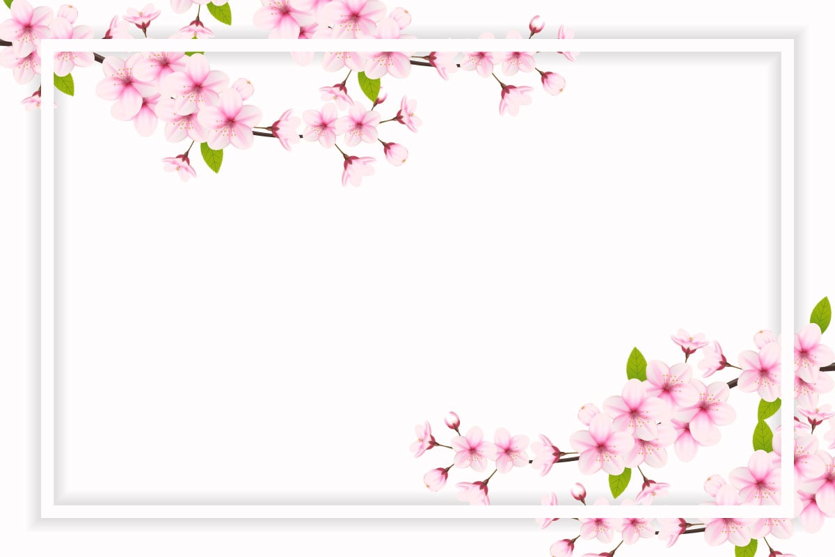 Cherry blossom white frame with space for text. Vector illustration