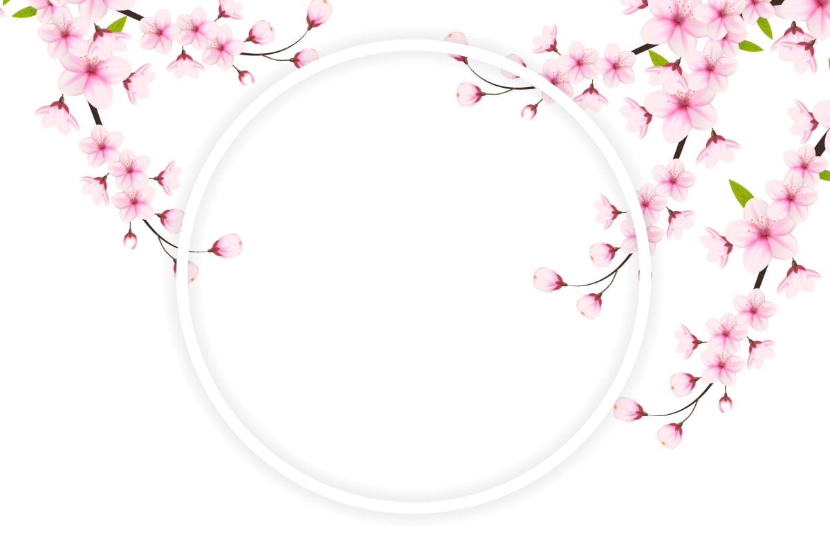 Cherry blossom round frame with space for text. Vector illustration