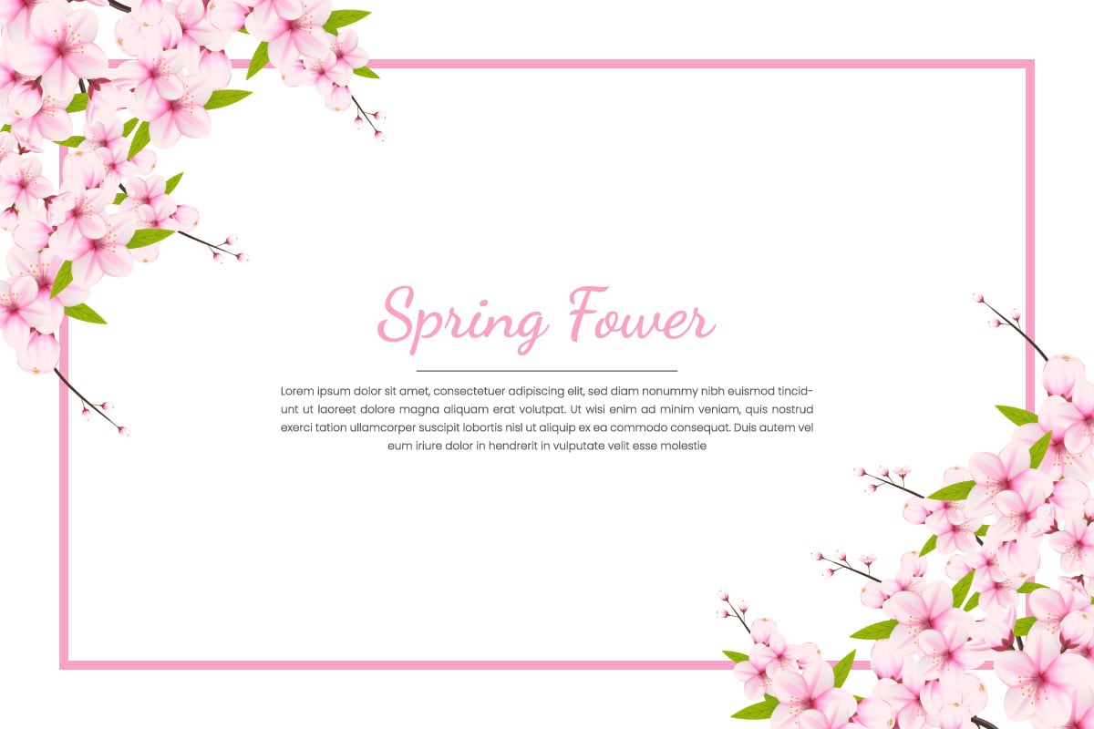 Spring Sakura branch background  Vector illustration. Pink Cherry blossom on  transparent background