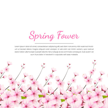 Cherry Blossom Illustrations Templates 340763