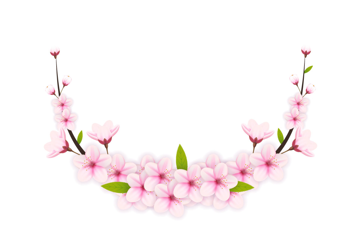 Sakura branch background  Vector illustration. Pink Cherry blossom