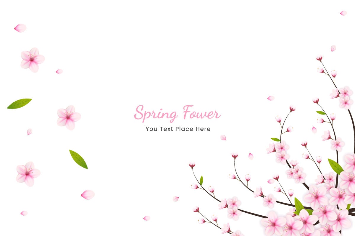 Spring Sakura branch background  Vector illustration. Pink Cherry blossom idea