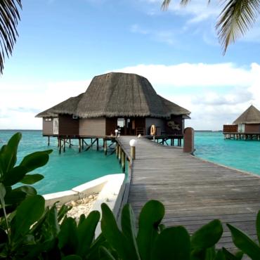 <a class=ContentLinkGreen href=/fr/kits_graphiques_templates_stock-video.html>Stock Vido</a></font> nature paysage 341542