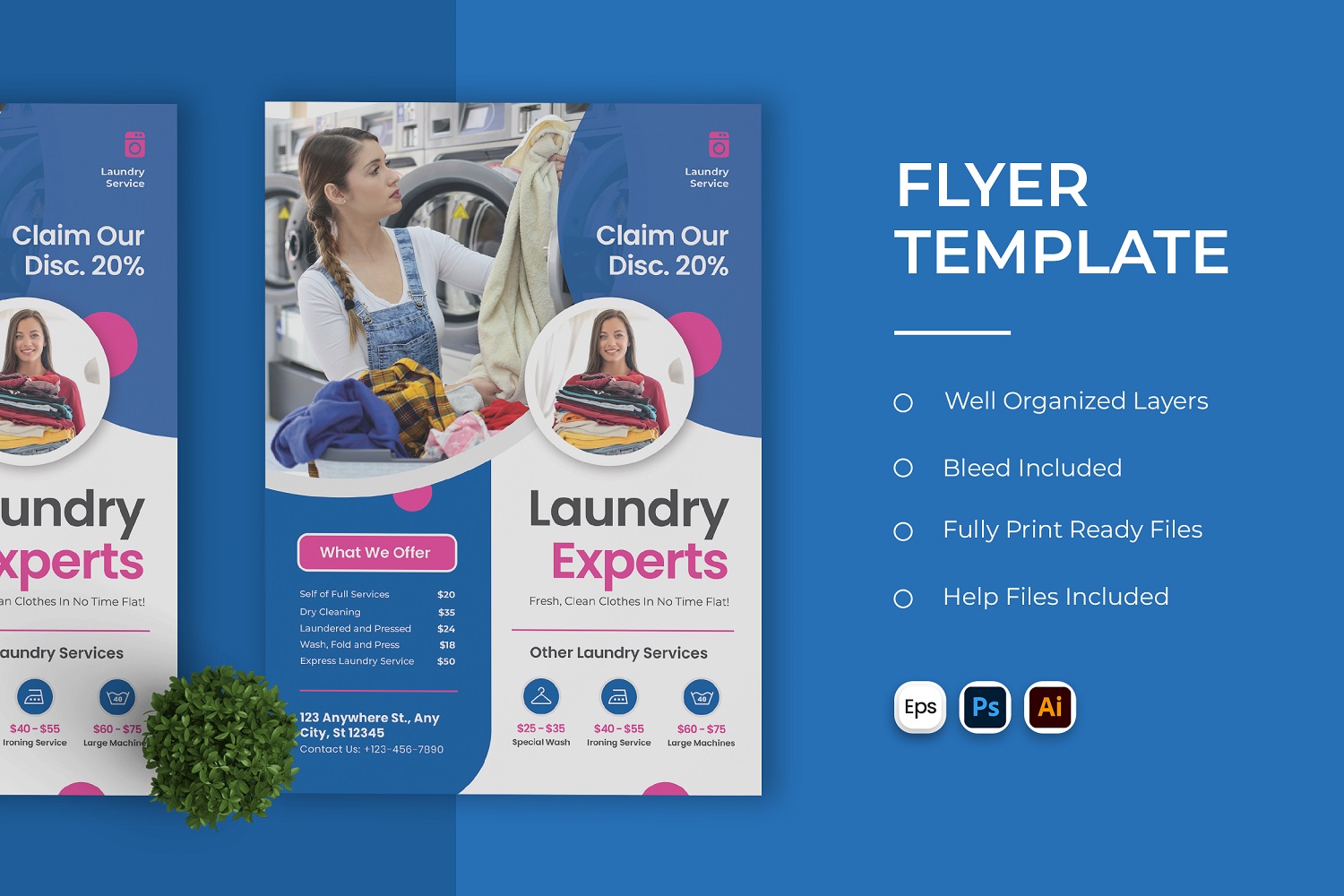 Laundry Experts Flyer Template