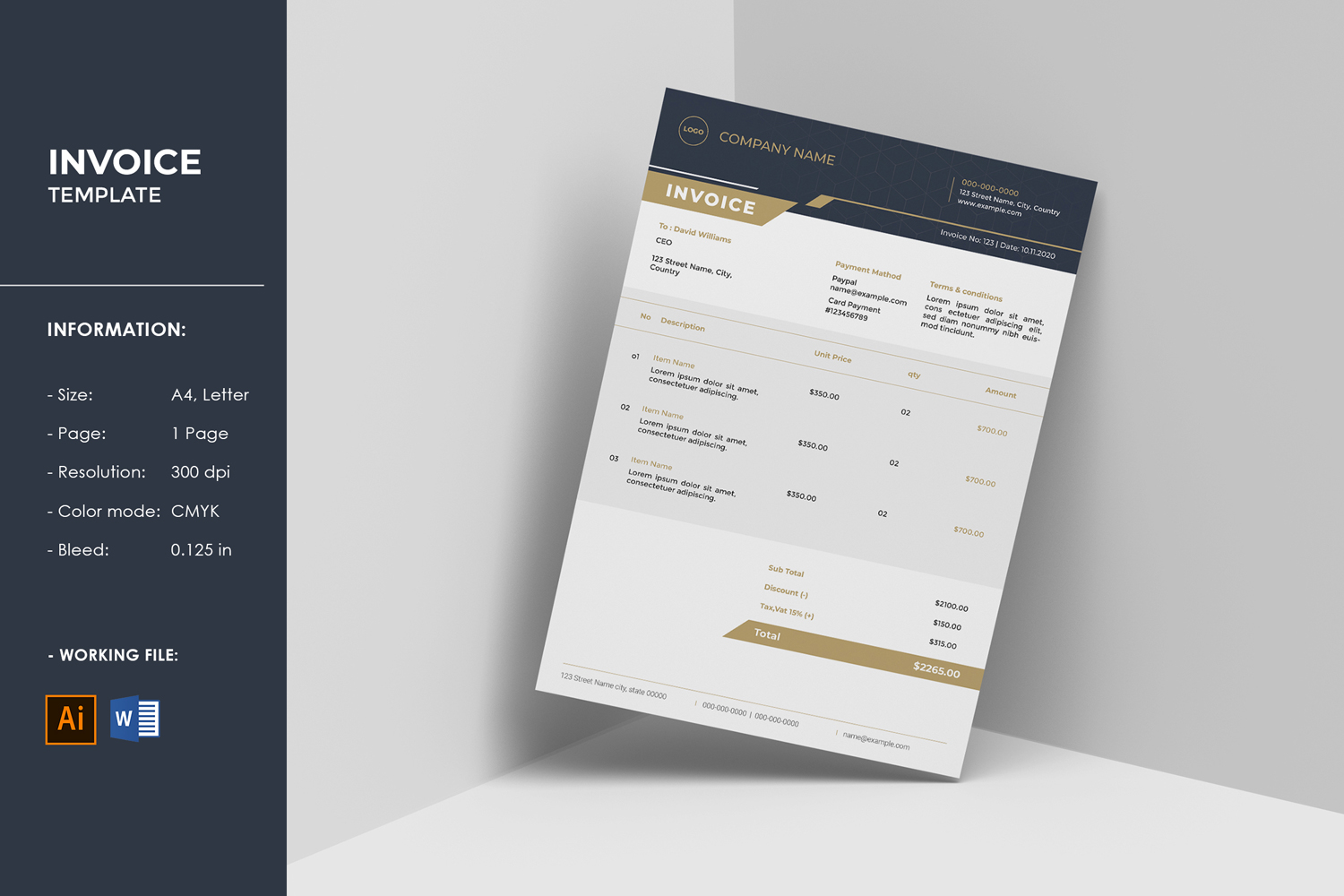 Business Invoice Template. Illustrator and Ms Word Template