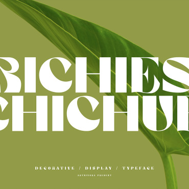 Fonts Display  344613