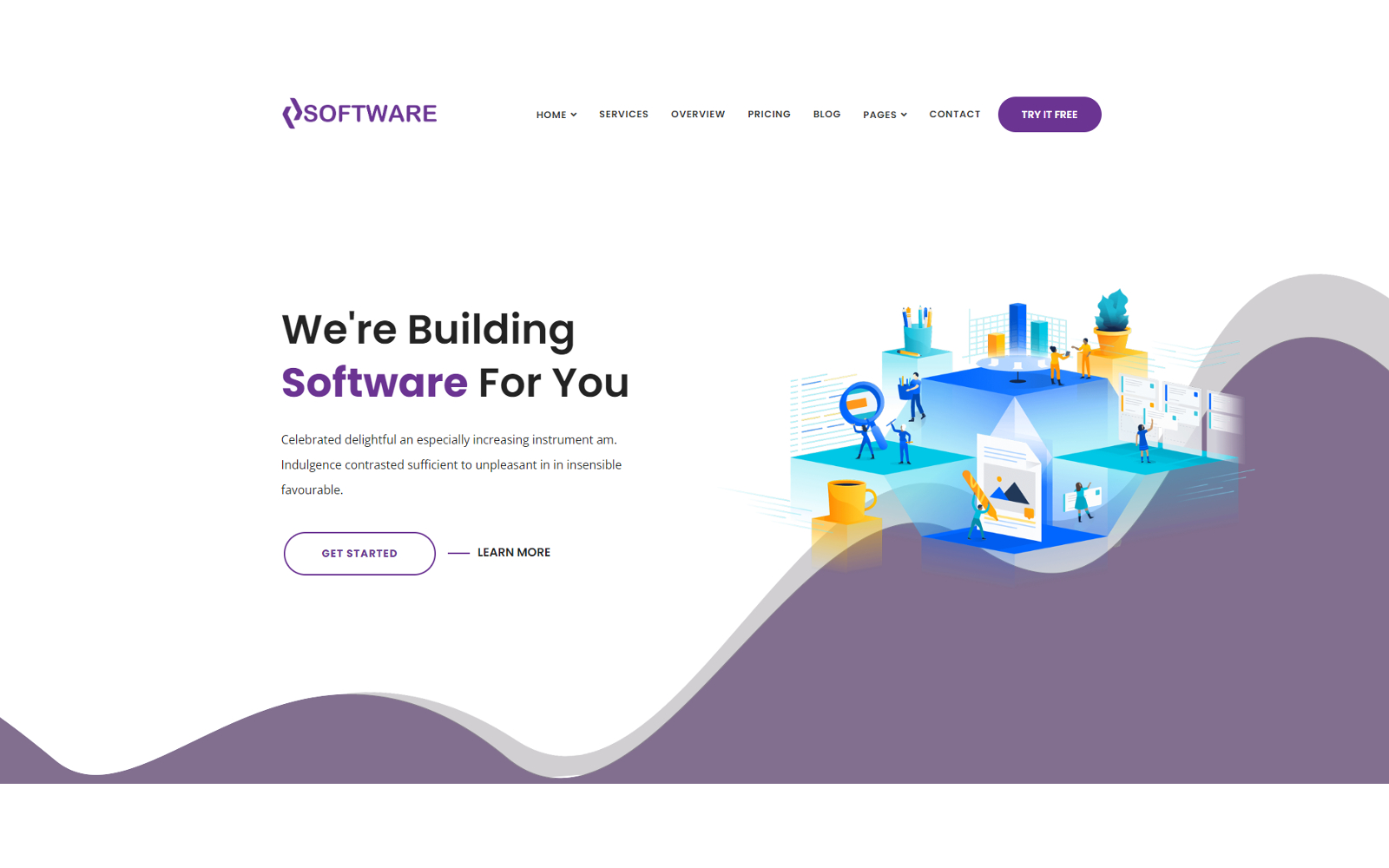 software-company-website