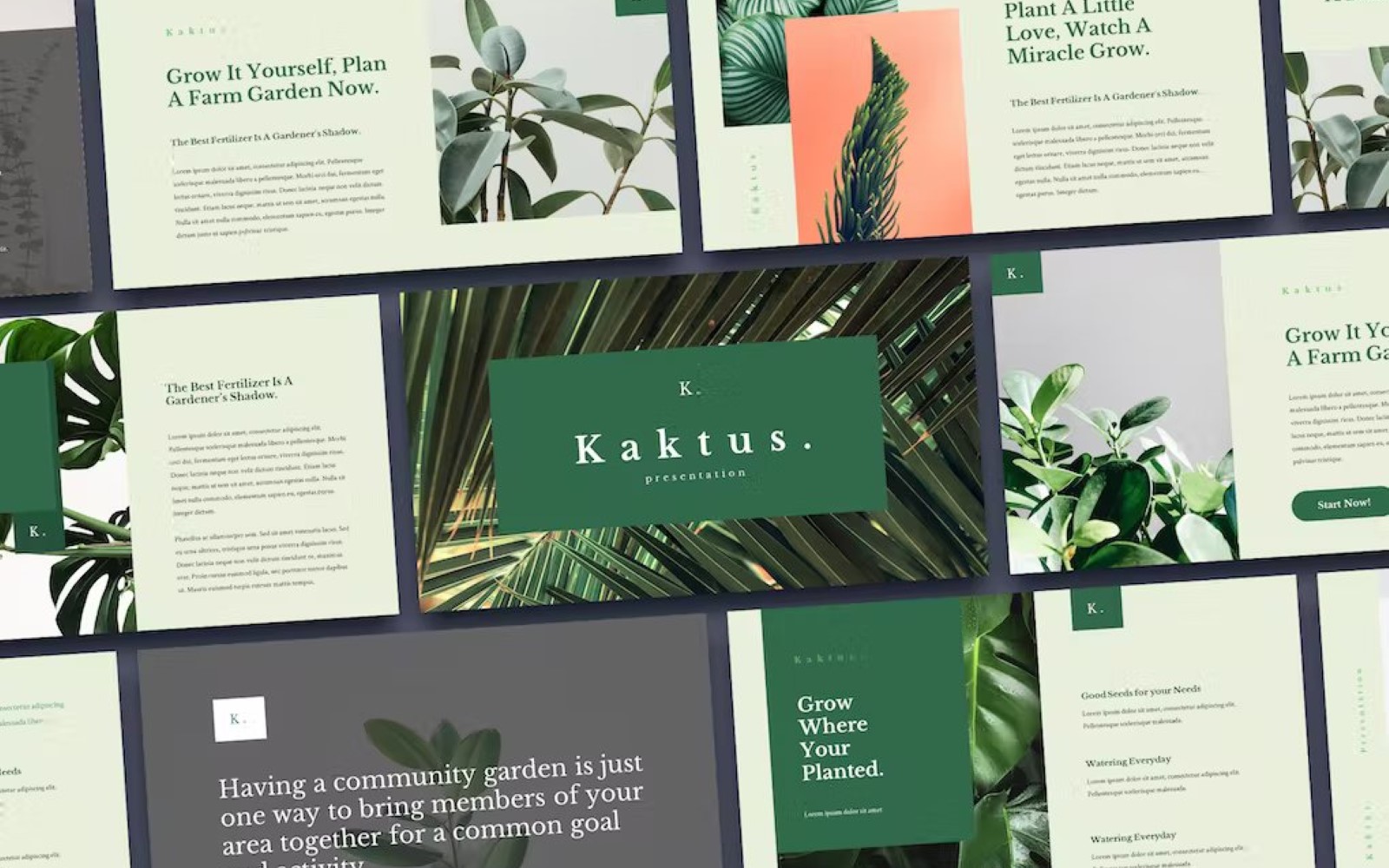 Kaktus - Elegant Keynote Template