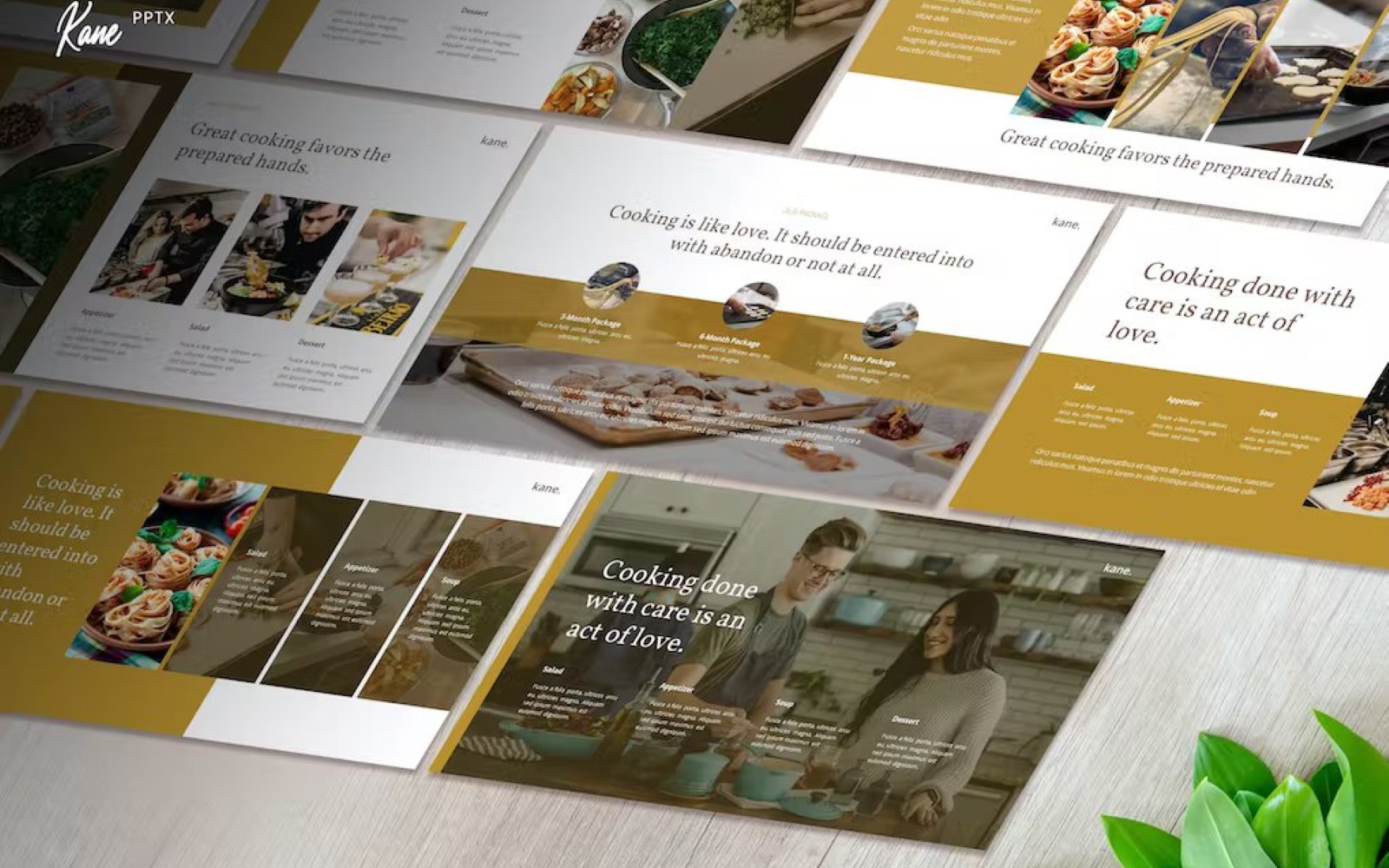 Kane - Culinary Business Google Slides