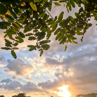 <a class=ContentLinkGreen href=/fr/kits_graphiques_templates_stock-video.html>Stock Vido</a></font> horizon beau 346206