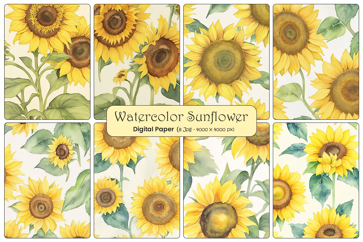 watercolor painting of sunflowers on a white background