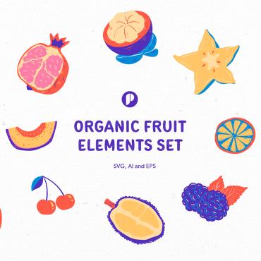 Fresh Fruit Illustrations Templates 346535