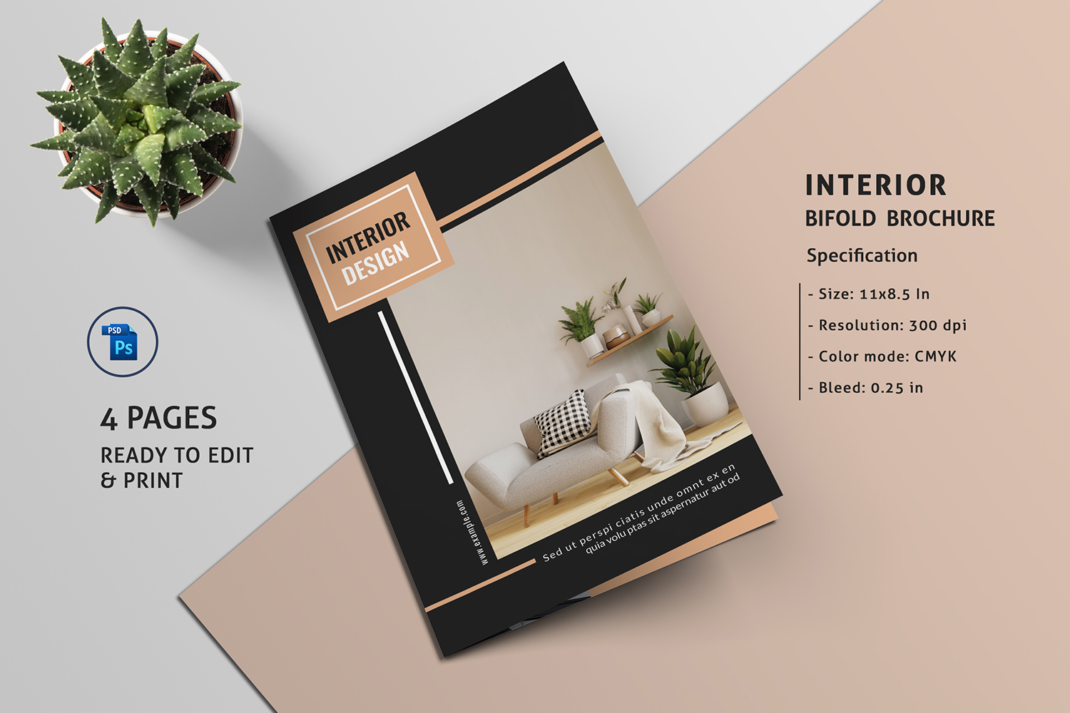 Interior Design Brochure Template. Adobe Photoshop template