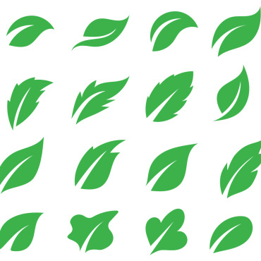 Icon Leaf Logo Templates 347216