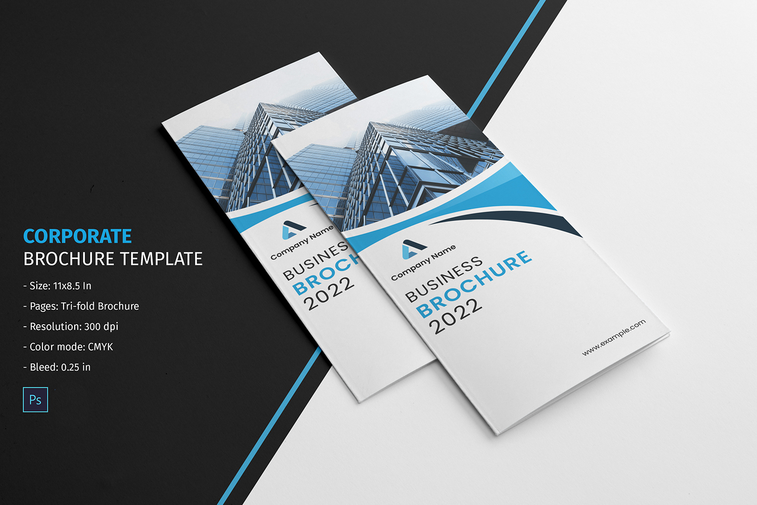 Business Trifold Brochure. Adobe Photoshop Template