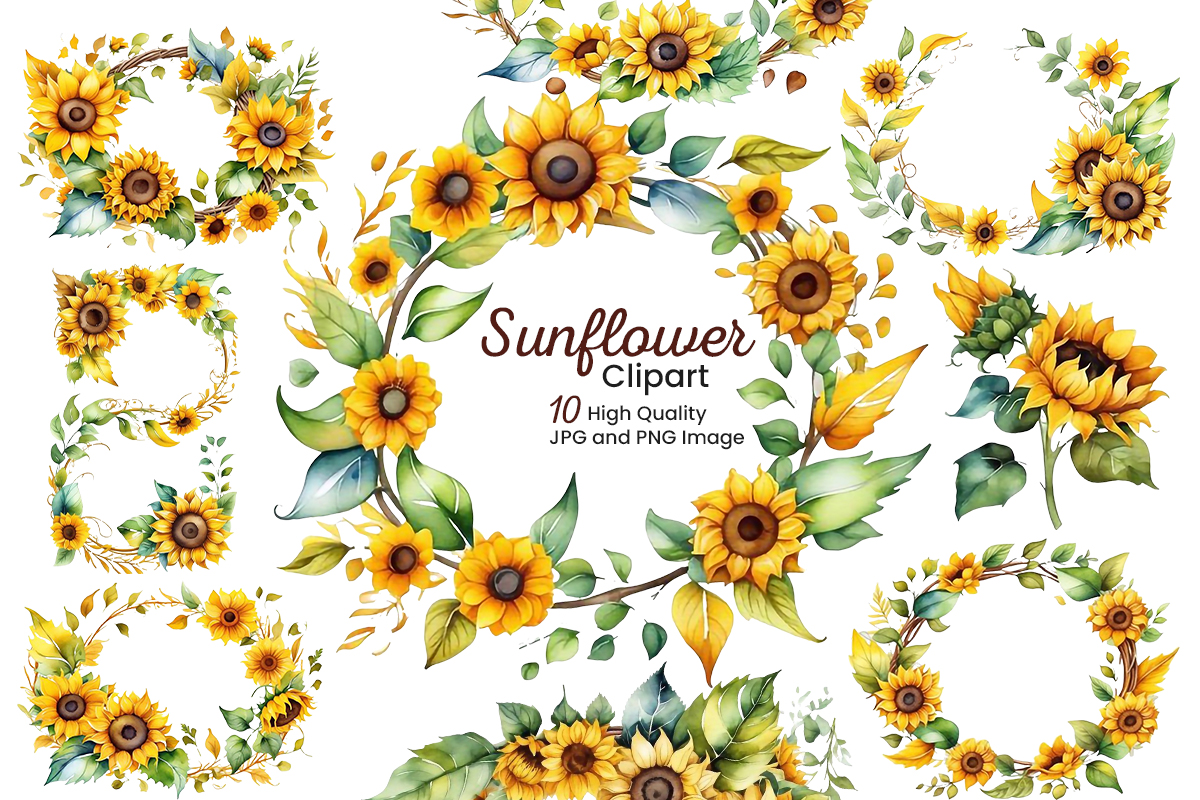 Watercolor sunflowers sublimation clipart set