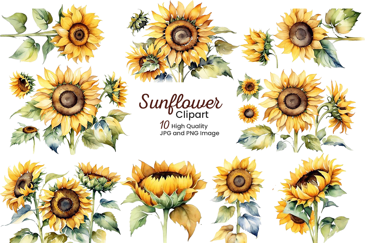 Hand painted sunflowers bouquets watercolor set with green leaves clipart