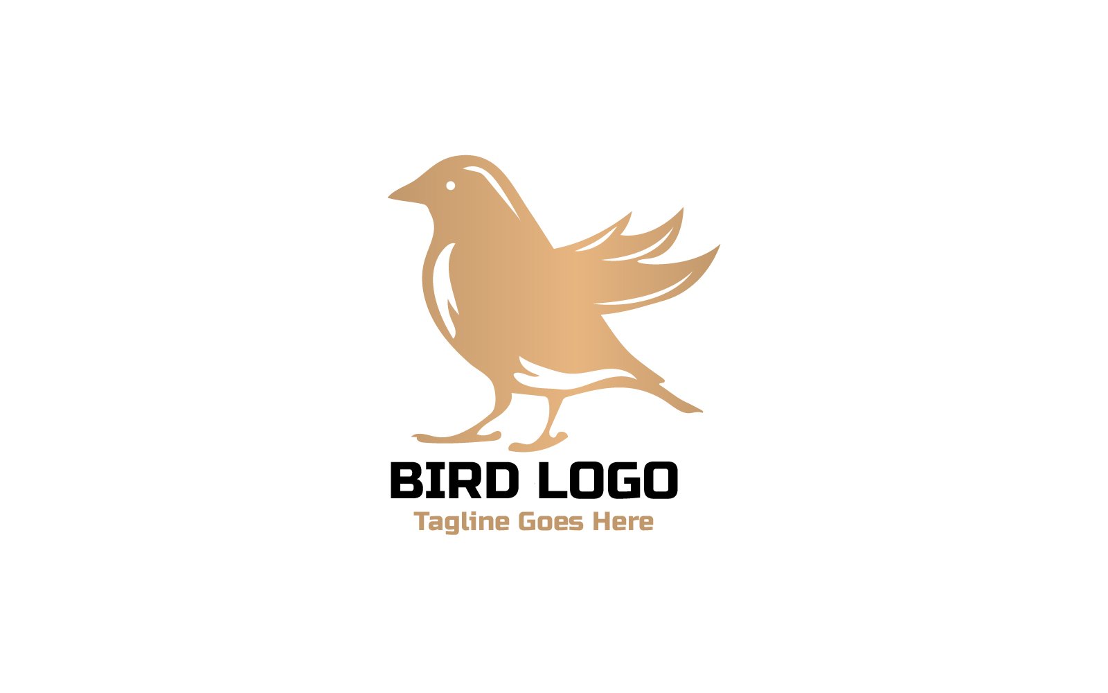 Bird logo Design  Template