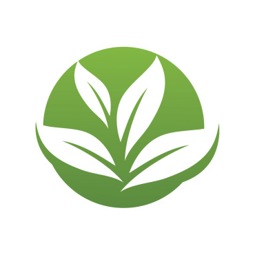 Concept Nature Logo Templates 348201