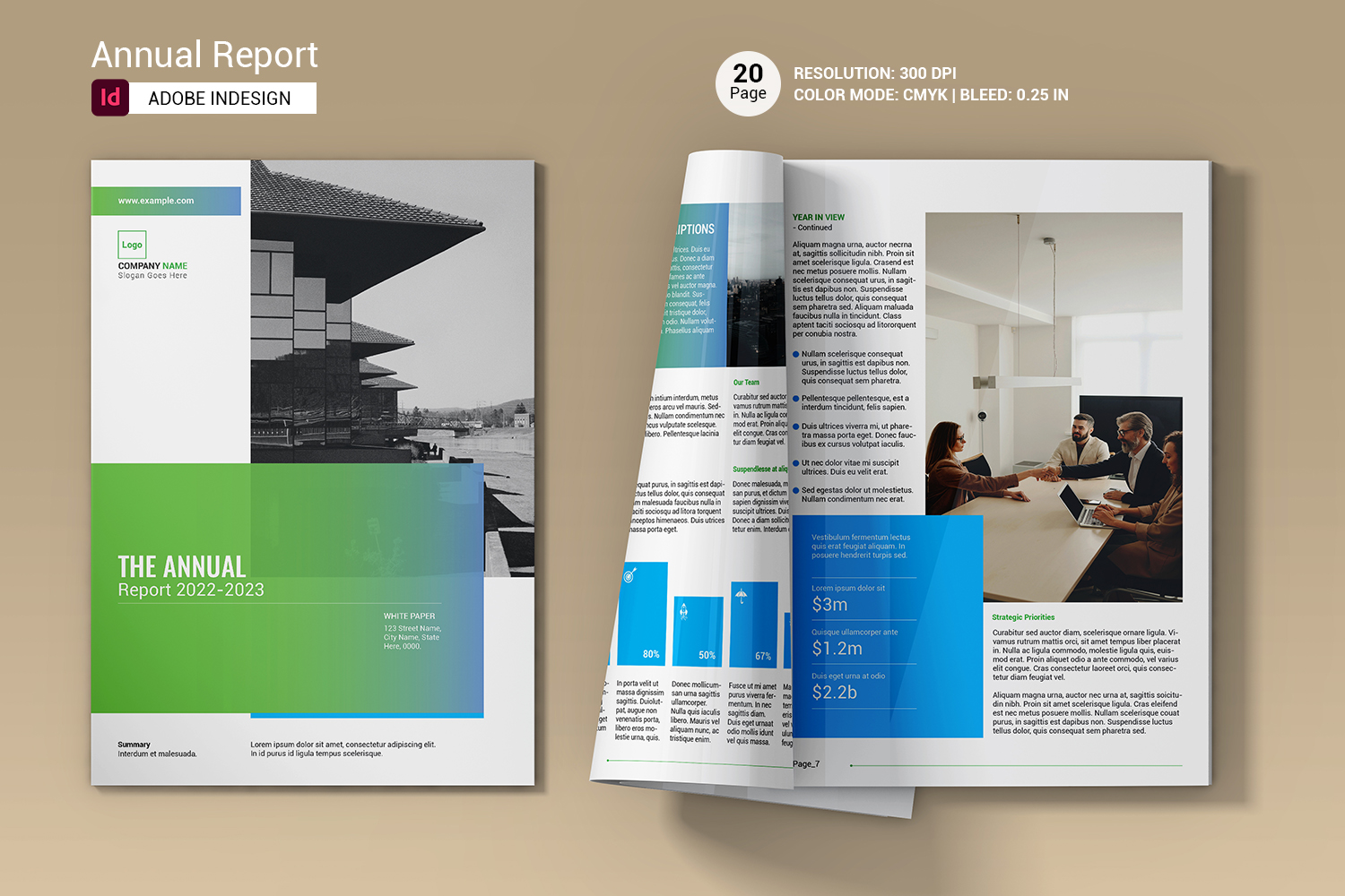 Annual Report Template. Indesign and Ms Word Template