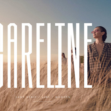 Fonts Display  348389