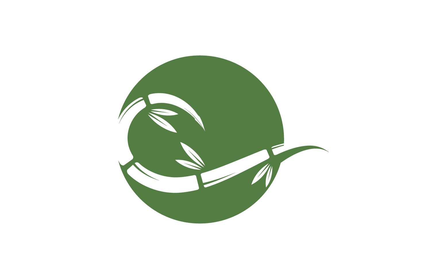 Bamboo tree logo vector v28