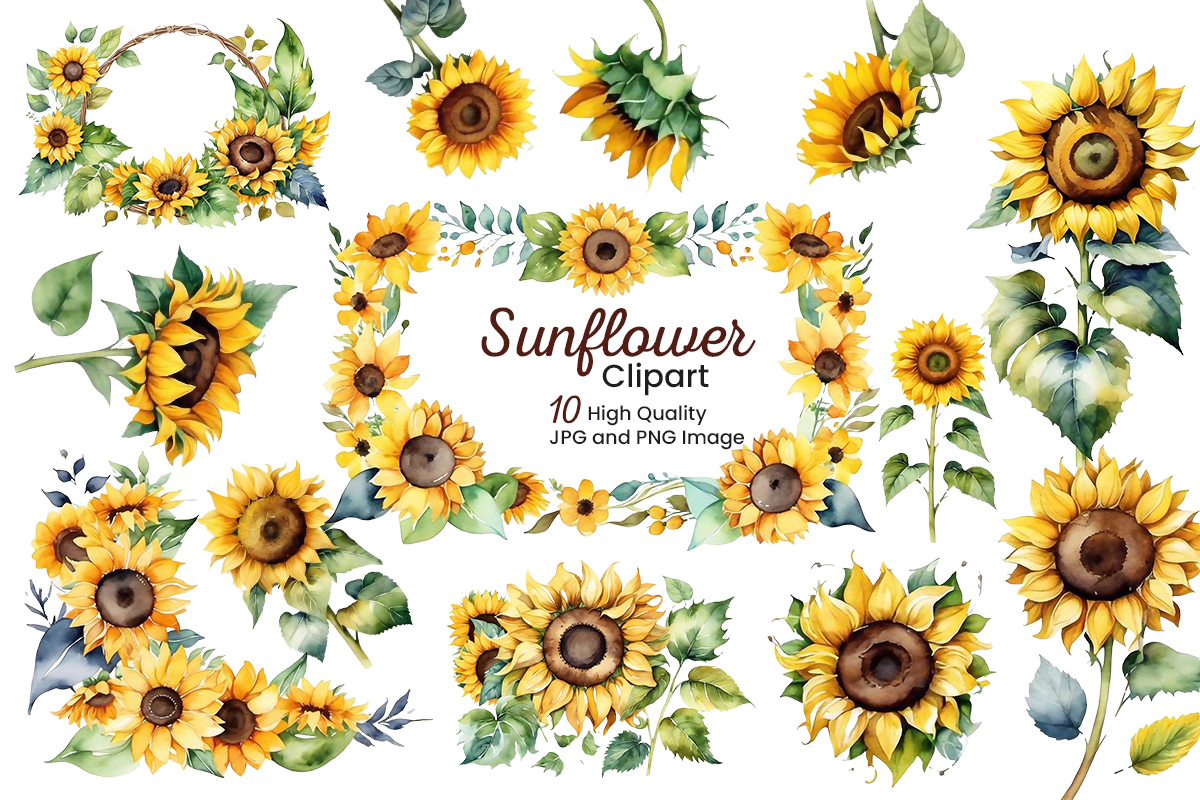 Hand painted watercolor sunflowers bouquets with green leaves frame