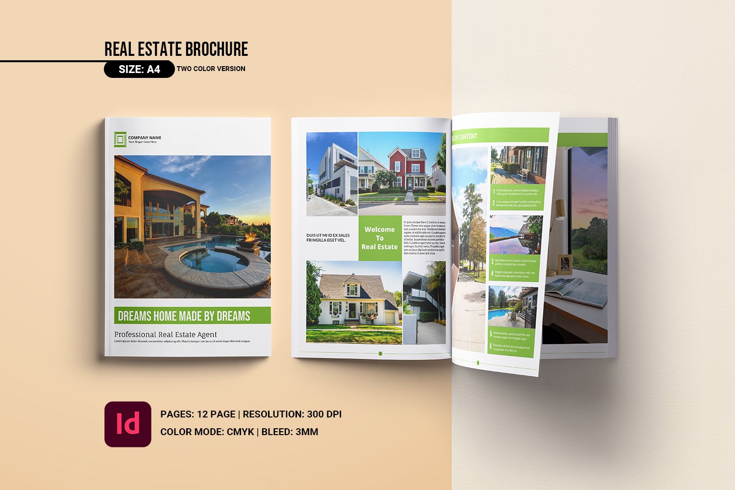 Real Estate Agency Brochure Template. Adobe Indesign Template