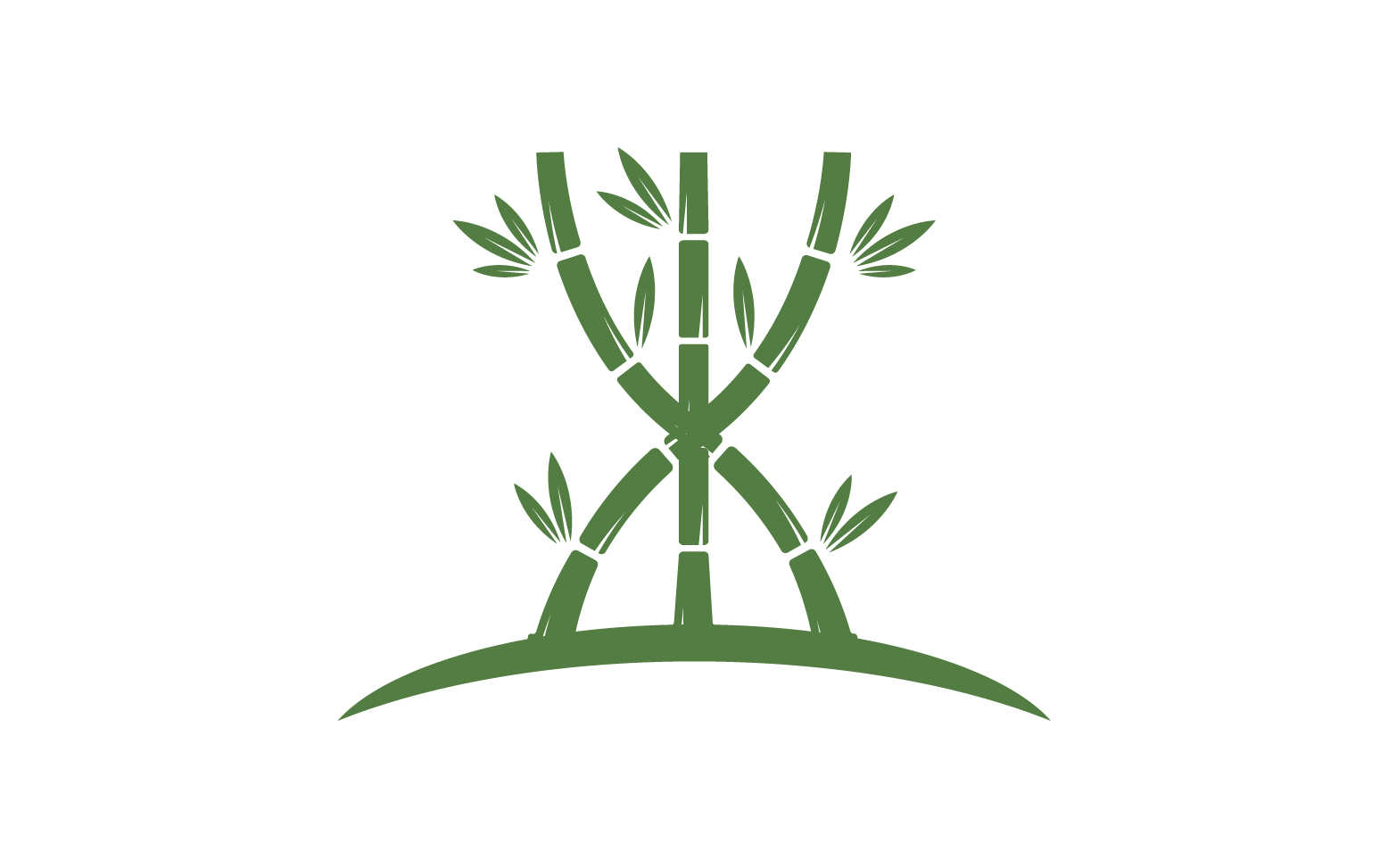 Bamboo tree logo vector v.14