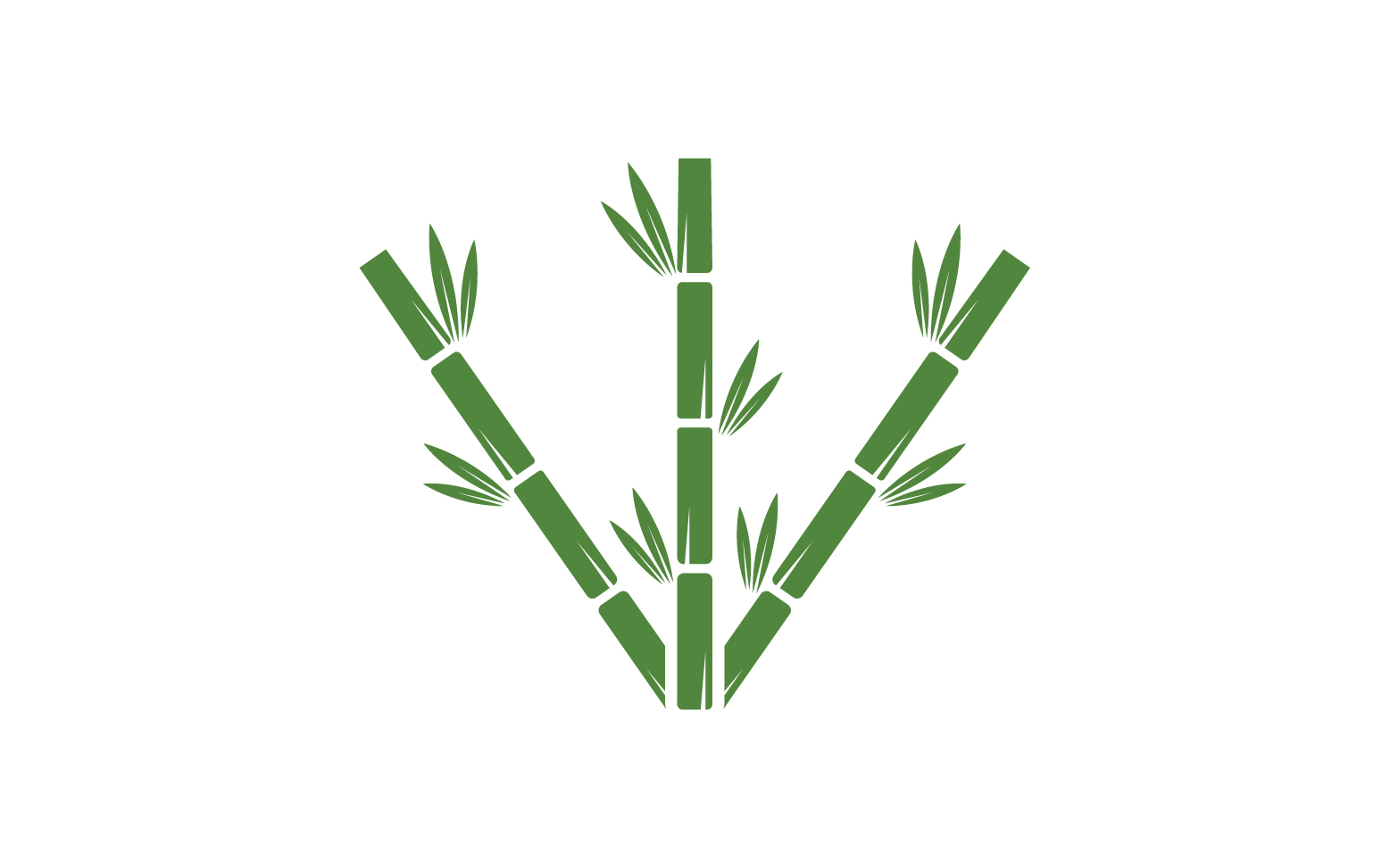 Bamboo tree logo vector v.21