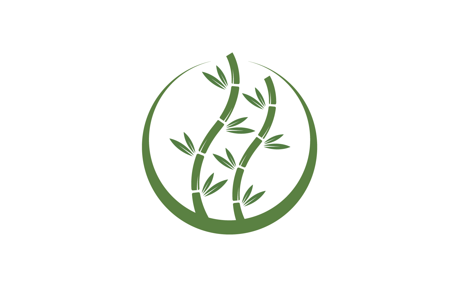 Bamboo tree logo vector v.23