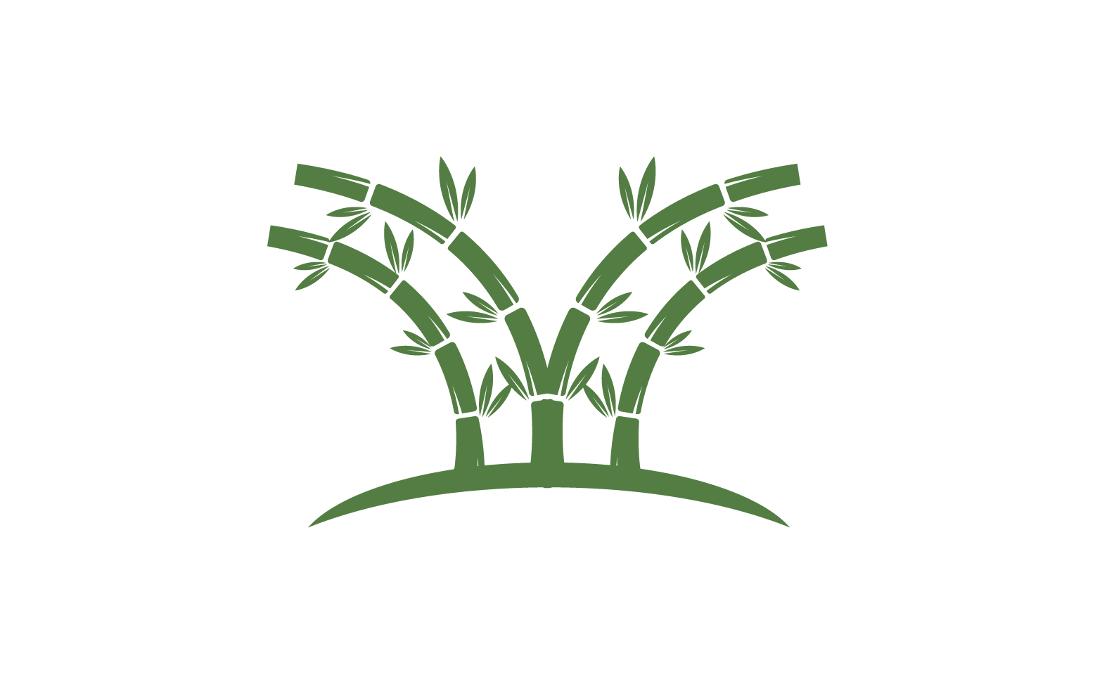 Bamboo tree logo vector v.24