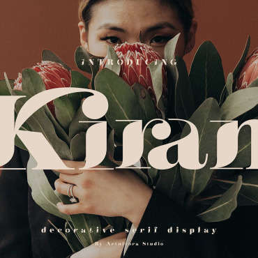 Fonts Display  349822