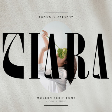 Fonts Display  349829