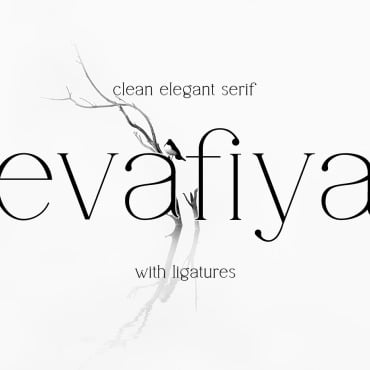 Classy Elegant Fonts 349886