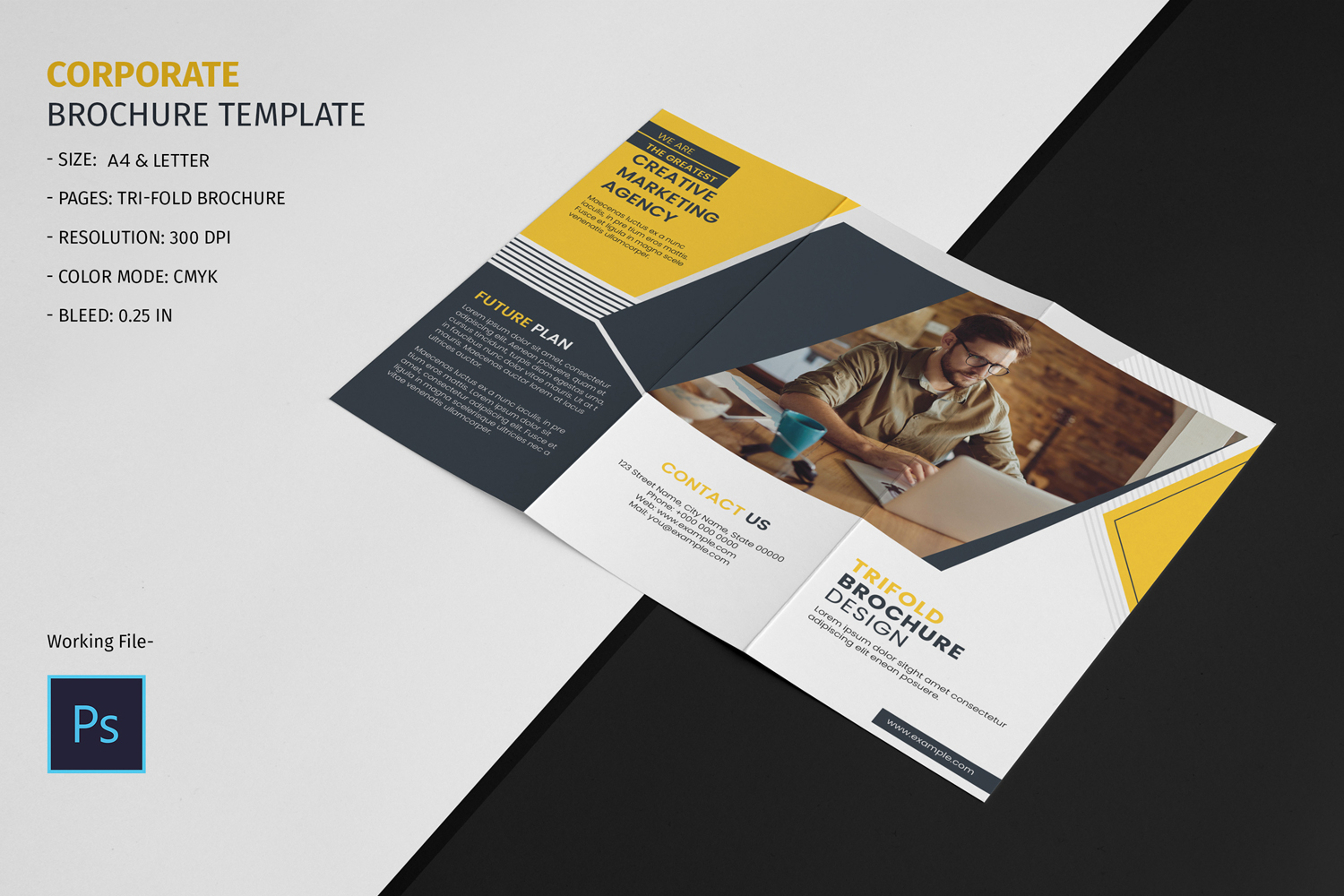 Trifold Business Brochure