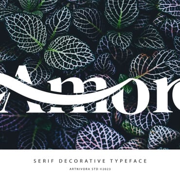 Fonts Display  351393