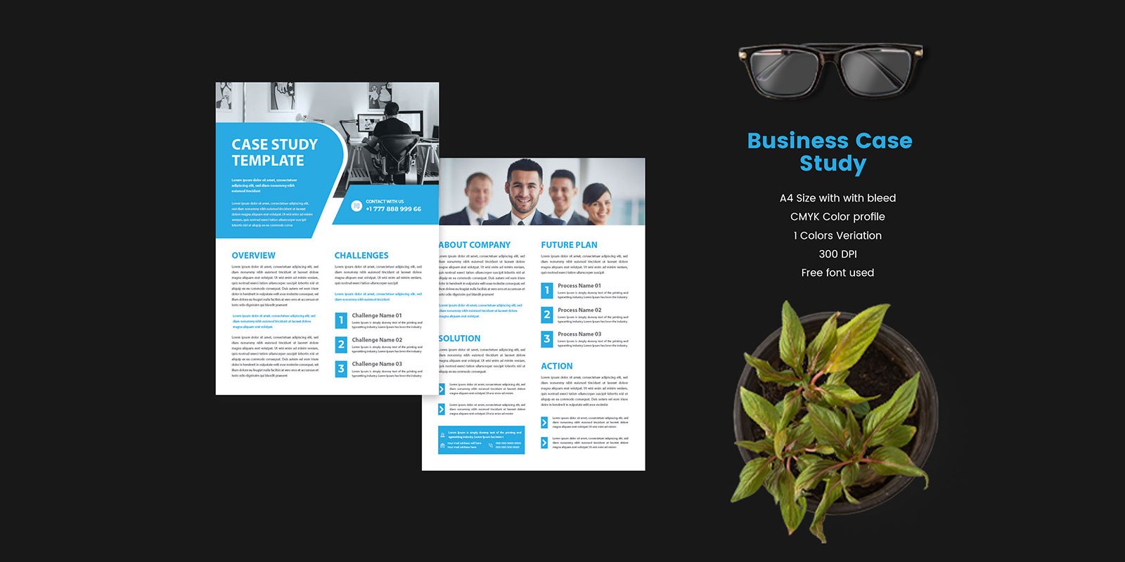 Multipurpose Business Case Study Template