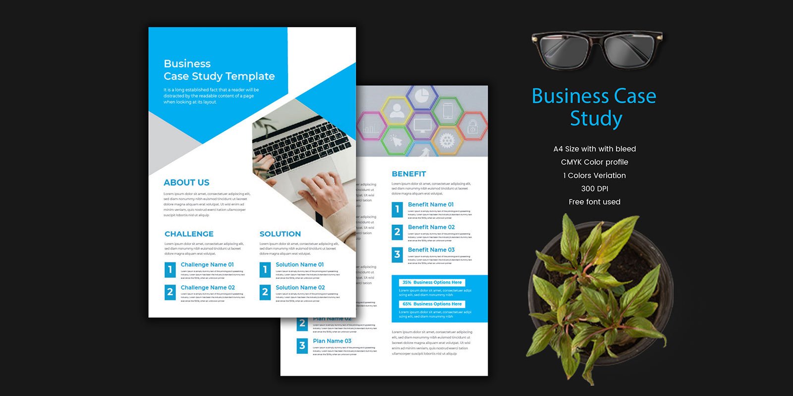 Vector case study template | business case study