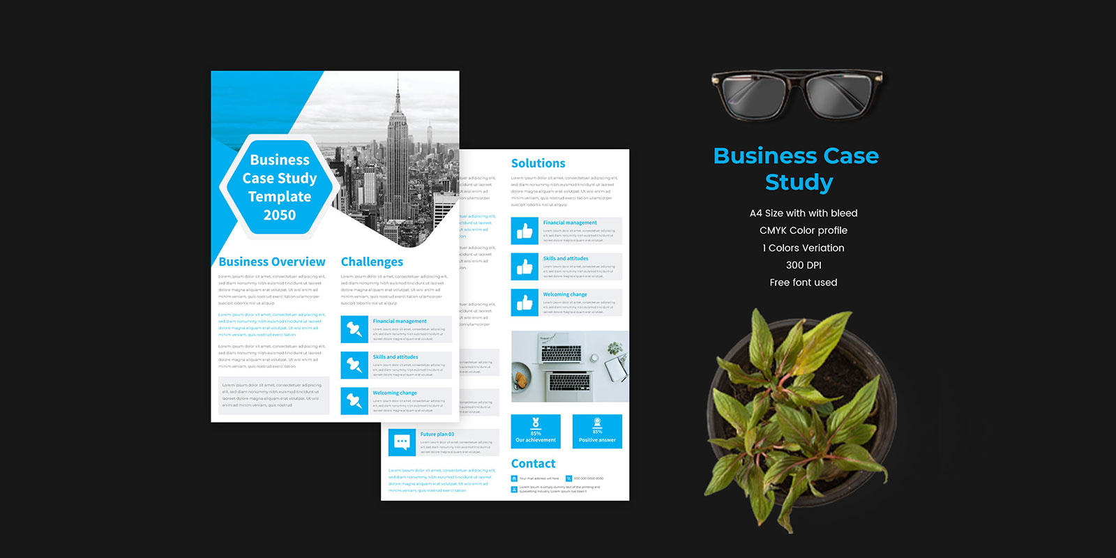 Case Study Layout For Business