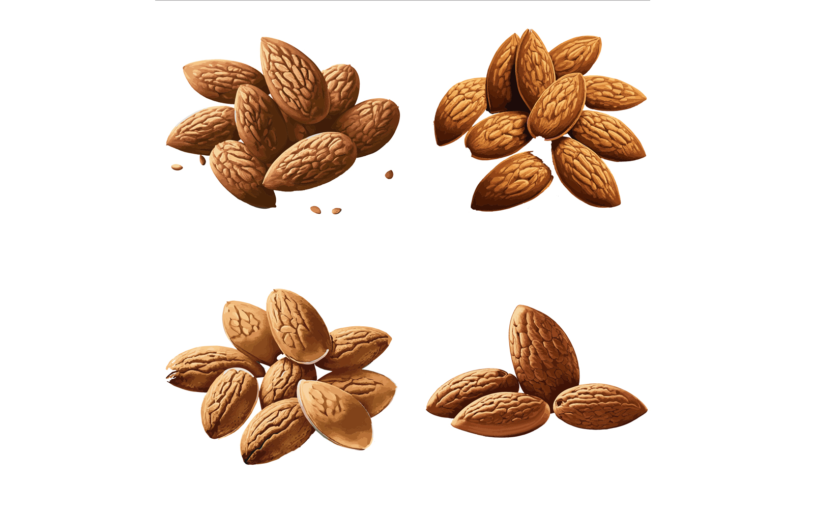 Beautiful Almond set in solid background,  vector illustration