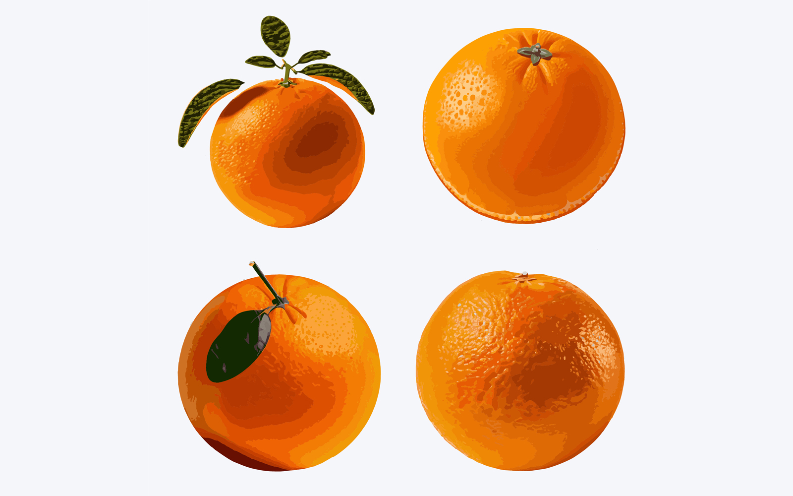 Orange fruit set. Isolated on white background. Vector illustration.