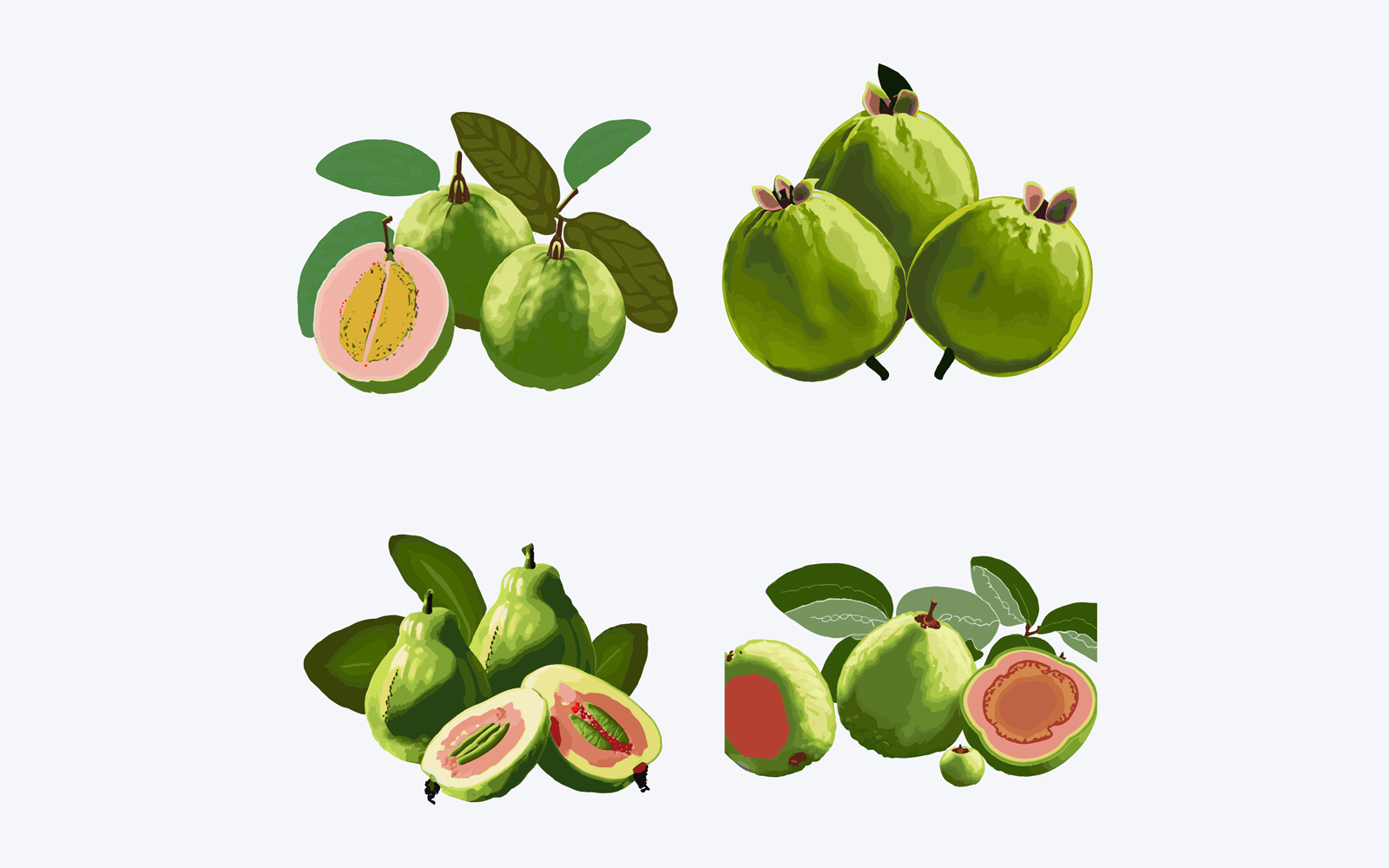 Set of guava fruits with leaves and slice. Vector illustration.