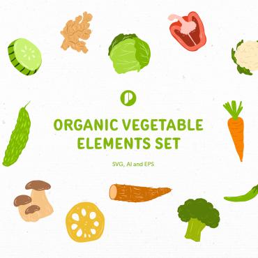 Food Organic Illustrations Templates 353458