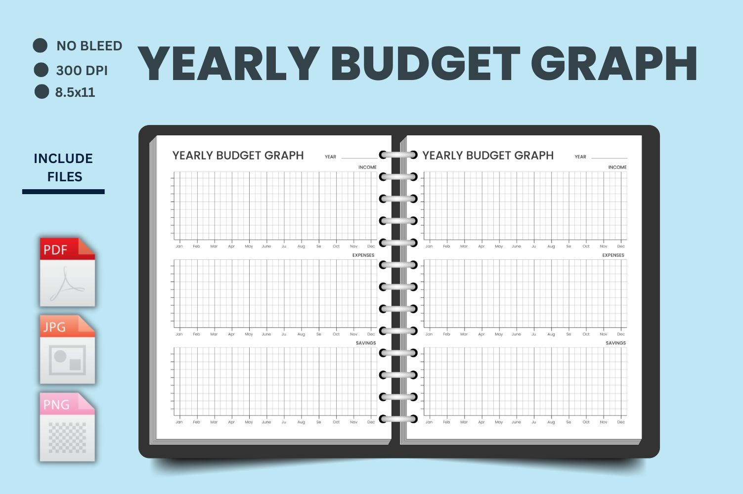 Financial Overview Chart, Printable Planner Inserts, Yearly Budget Graph Template