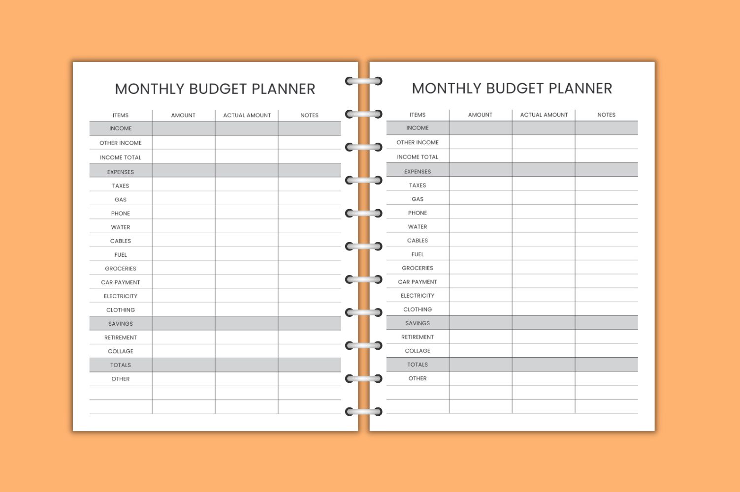 Monthly Budget Planner Or Tracker