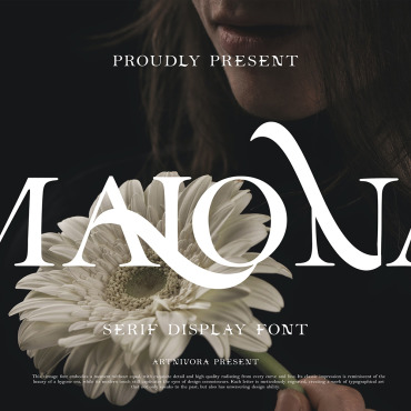 Fonts Display  353556